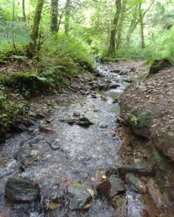 Danescombe Stream